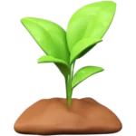 Icone plante - Plateforme de mise en relation psychologues patients